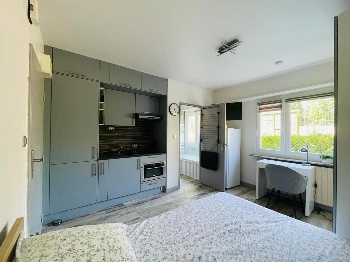 Dnn - Stylish Studio - Free Wifi, Netflix And Parking - Min Away To Basel And Airport - Dishwasher, Washing Machine Saint-Louis  Exterior photo
