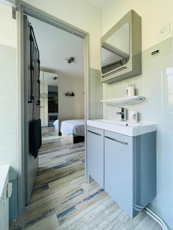 Dnn - Stylish Studio - Free Wifi, Netflix And Parking - Min Away To Basel And Airport - Dishwasher, Washing Machine Saint-Louis  Exterior photo